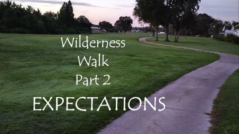 The Wilderness Walk Part 2