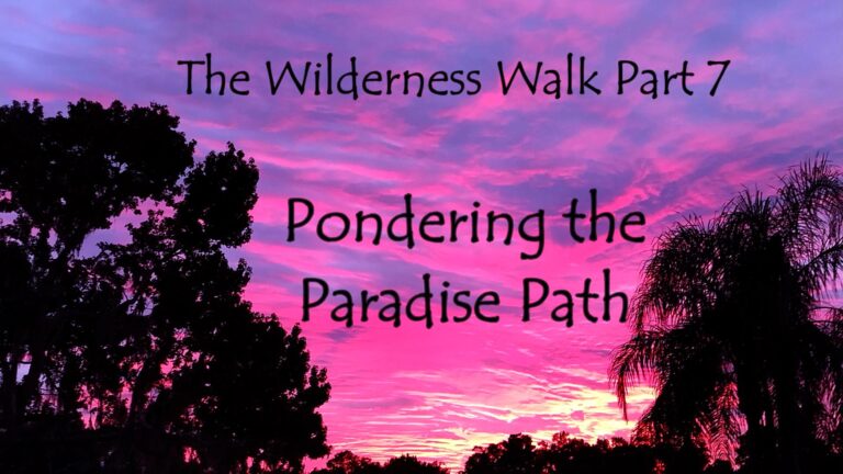 The Wilderness Walk Part 7