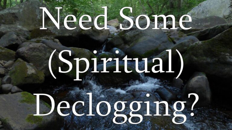 Need Some (Spiritual) Declogging?