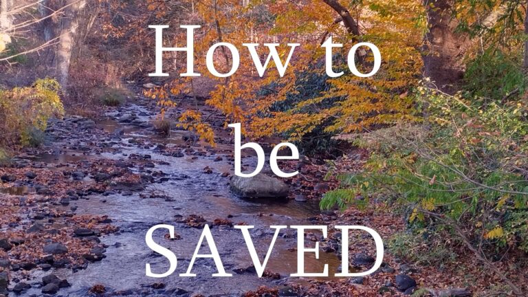 What is the “Gospel” Anyway?